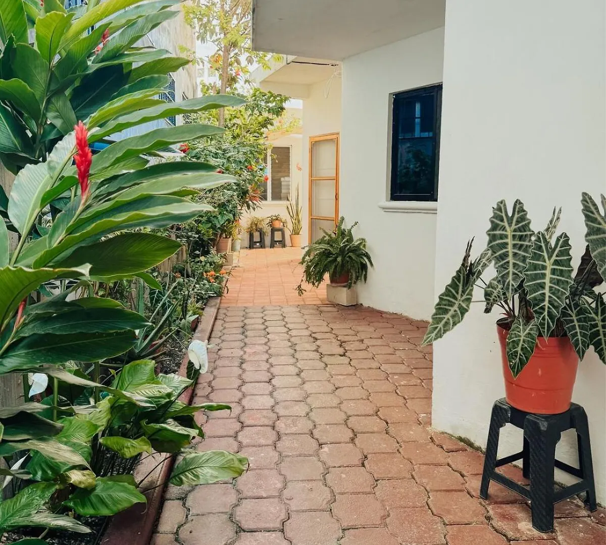 Διαμέρισμα Villa Magnolia - Cozy Hideaway Κοζουμέλ